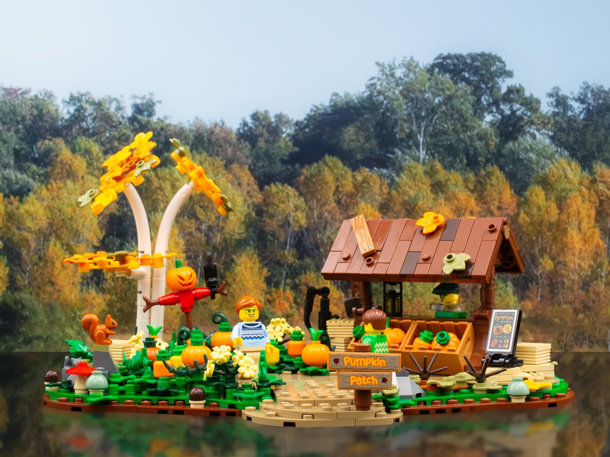 LEGO 910073 南瓜田場景