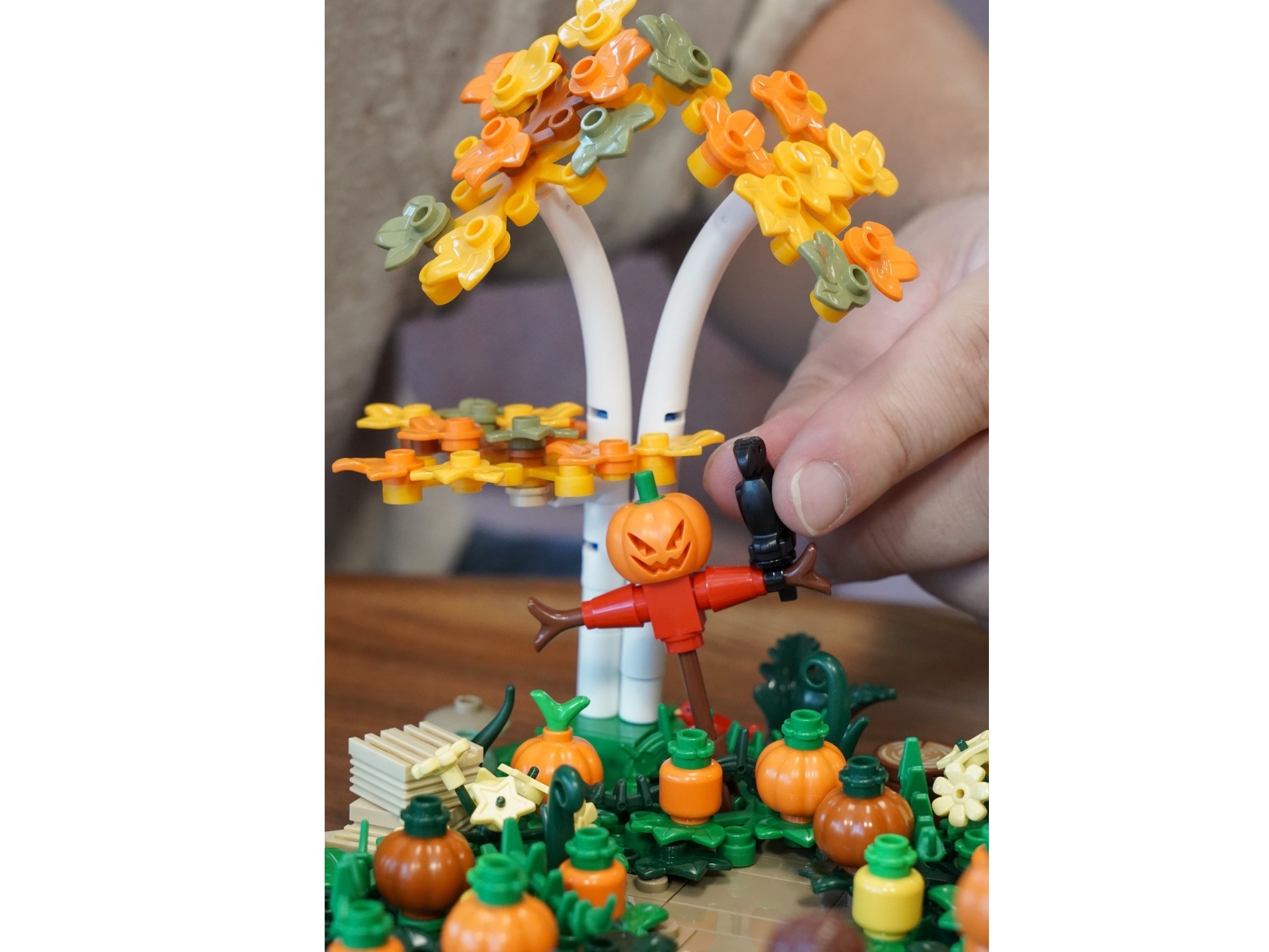 LEGO 910073 稻草人與白樺樹